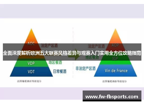 全面深度解析欧洲五大联赛风格差异与观赛入门实用全方位攻略指南