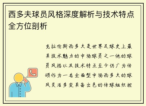 西多夫球员风格深度解析与技术特点全方位剖析