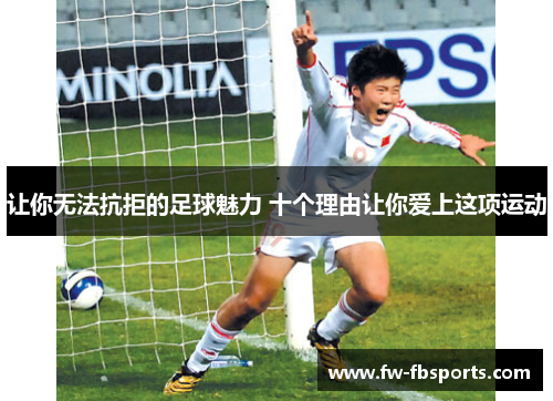 让你无法抗拒的足球魅力 十个理由让你爱上这项运动