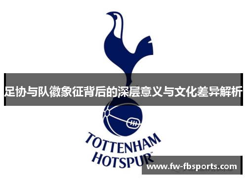 足协与队徽象征背后的深层意义与文化差异解析