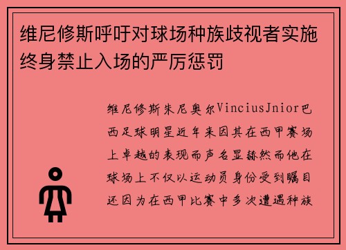维尼修斯呼吁对球场种族歧视者实施终身禁止入场的严厉惩罚