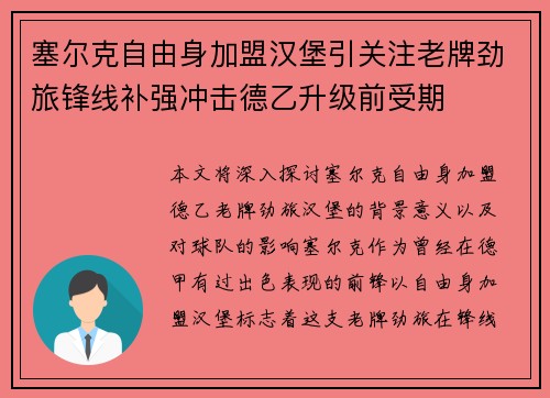 塞尔克自由身加盟汉堡引关注老牌劲旅锋线补强冲击德乙升级前受期 塞尔克自由身加盟汉堡引关注老牌劲旅锋线补强冲击德乙升级前受期